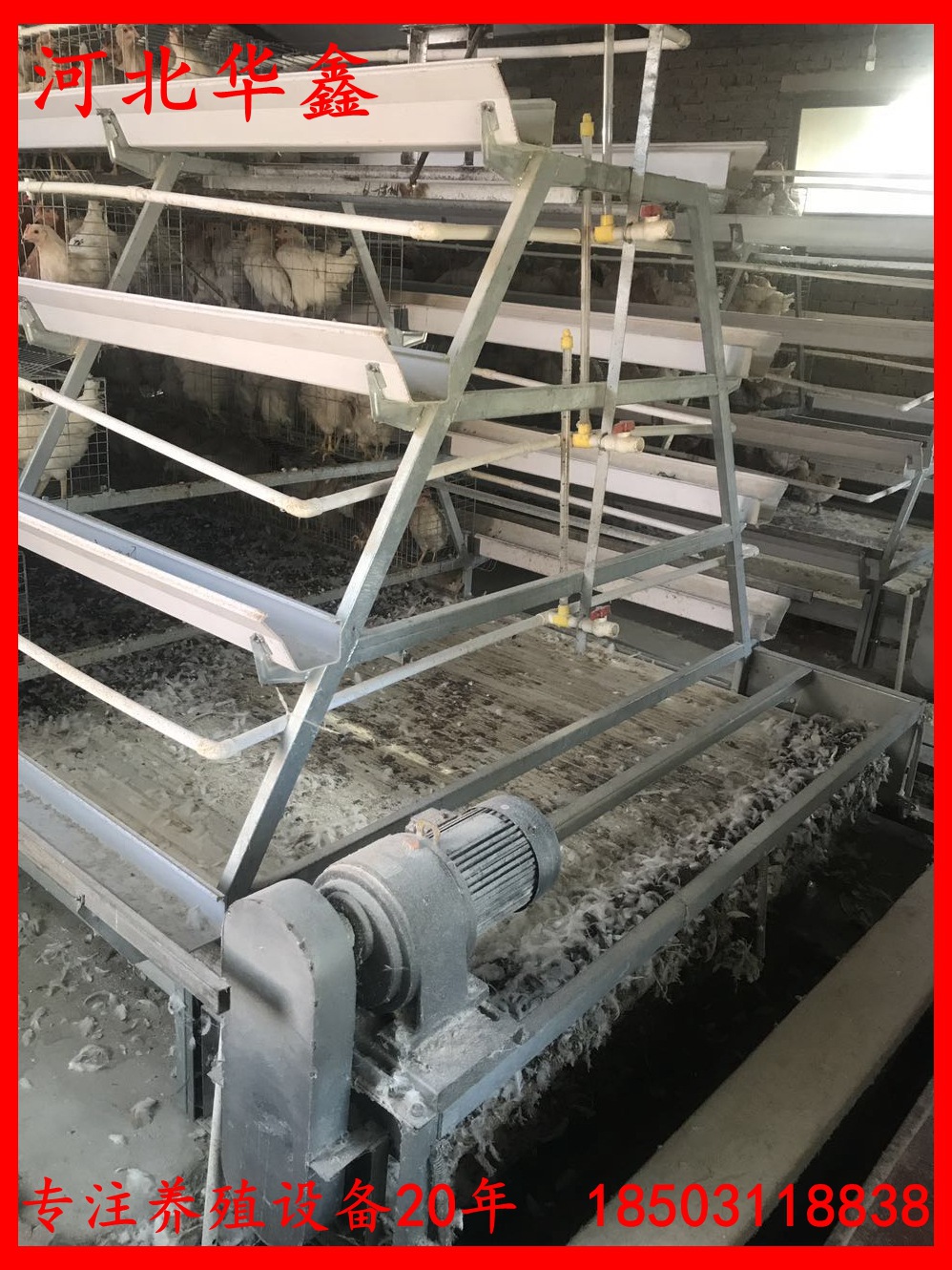 寰俊鍥劇墖_201708261610056