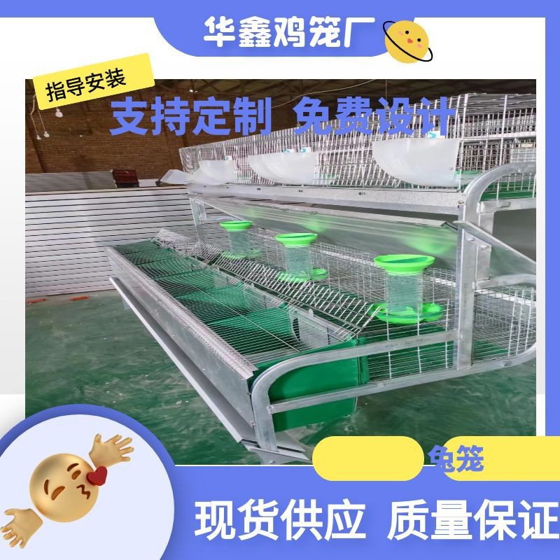 自動清糞養(yǎng)殖兔籠大型養(yǎng)殖場自動化兔子養(yǎng)殖設(shè)備 熱鍍鋅字母兔籠