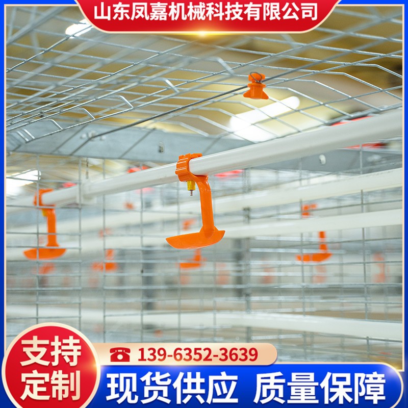 廠家供應肉雞鴨養(yǎng)殖設備 全自動肉雞籠 大規(guī)模養(yǎng)殖雞籠 養(yǎng)雞設備