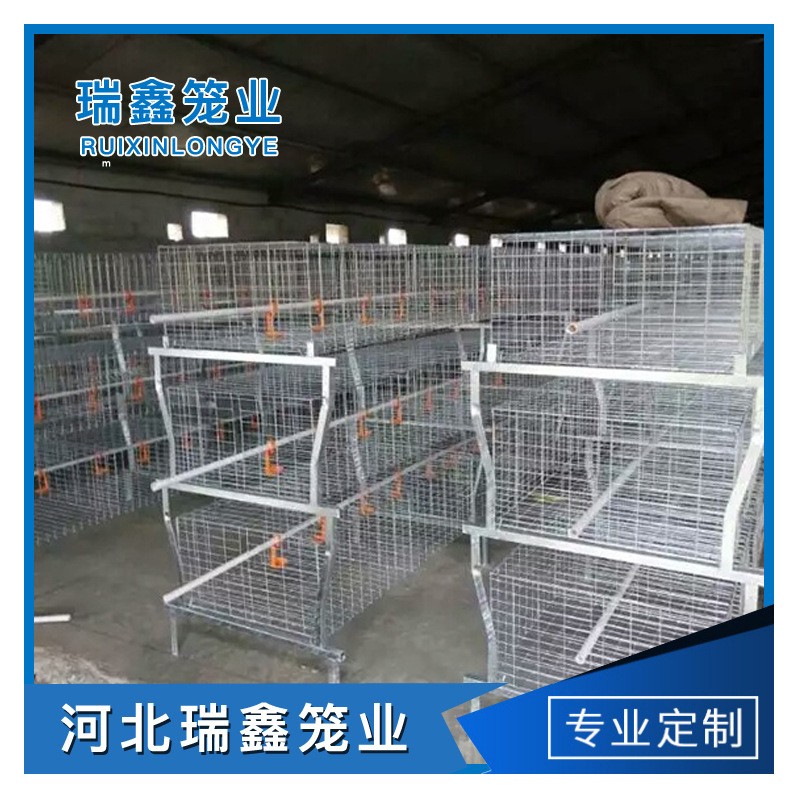 廠家生產(chǎn)供應(yīng) 單層皮帶立式熱鍍鋅元寶肉雞籠全自動養(yǎng)殖設(shè)備