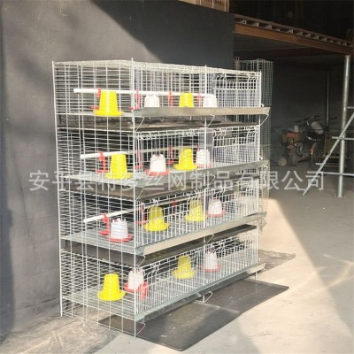 雛雞籠 加粗加密彈簧門育雛籠 養(yǎng)殖小雞籠 四層8門立式小雞籠