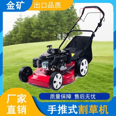 果園牧場(chǎng)草場(chǎng)莊園草坪機(jī) 綠化自走式高草割草機(jī) 手推剪草機(jī)