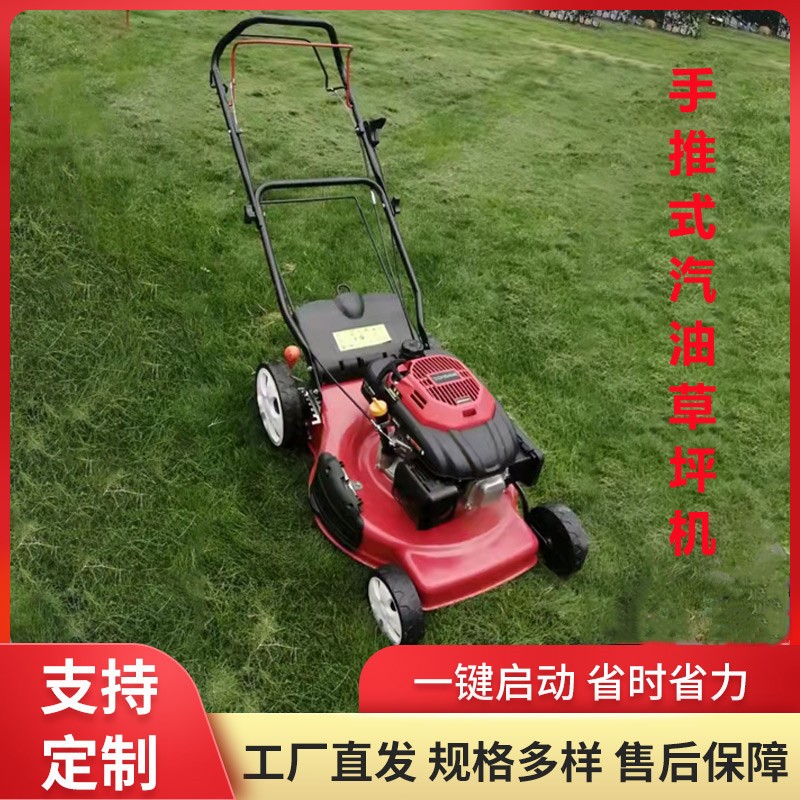 現貨汽油草坪機 自走手推式公園草地除草機 物業小區用手推割草機