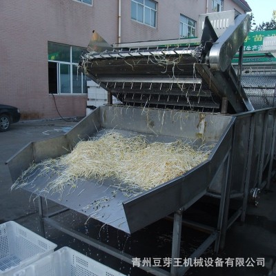 全自動豆芽清洗機 商用綠豆芽清洗機 源頭工廠大型綠豆芽清洗設備