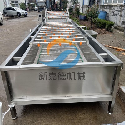 小龍蝦氣泡清洗機 多功能噴淋清洗設(shè)備 橙子氣泡清洗流水線
