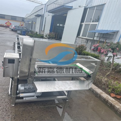 果蔬清洗機 嘉德直供預(yù)制菜清洗設(shè)備 噴淋式氣泡清洗流水線