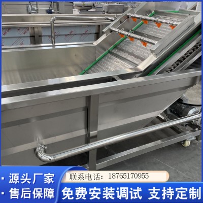 全自動化蕓豆清洗設備 蒸汽蘆筍氣泡清洗設備 凈菜果蔬清洗機