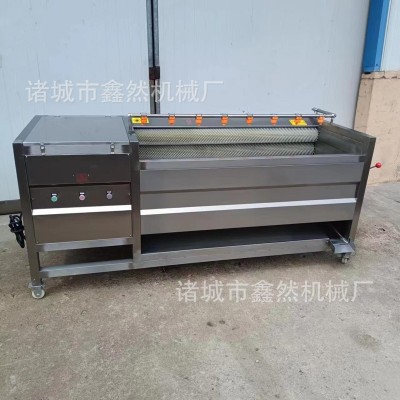 全自動土豆去皮清洗機胡蘿卜毛輥清洗設備蓮藕去皮清洗機