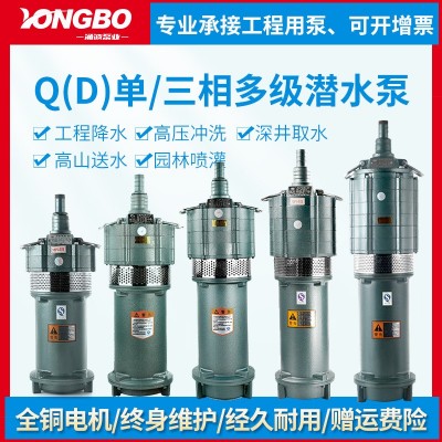 QD多級潛水泵高揚程220v抽水泵農用灌溉高壓小老鼠水泵380v降水