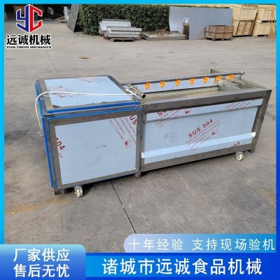 胡蘿卜毛輥去皮機 全自動毛刷去皮機 土豆海蠣子毛刷清洗機設備