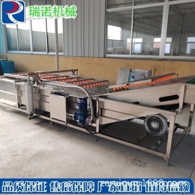 全自動蔬菜清洗流水線 食品果蔬翻滾氣泡清洗機 凈菜加工成套設備