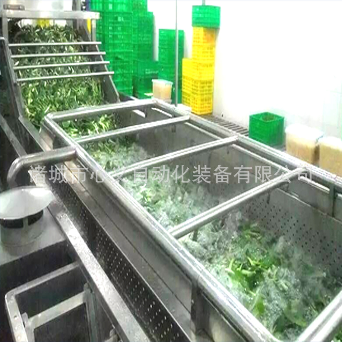 蔬菜水果清洗機 1