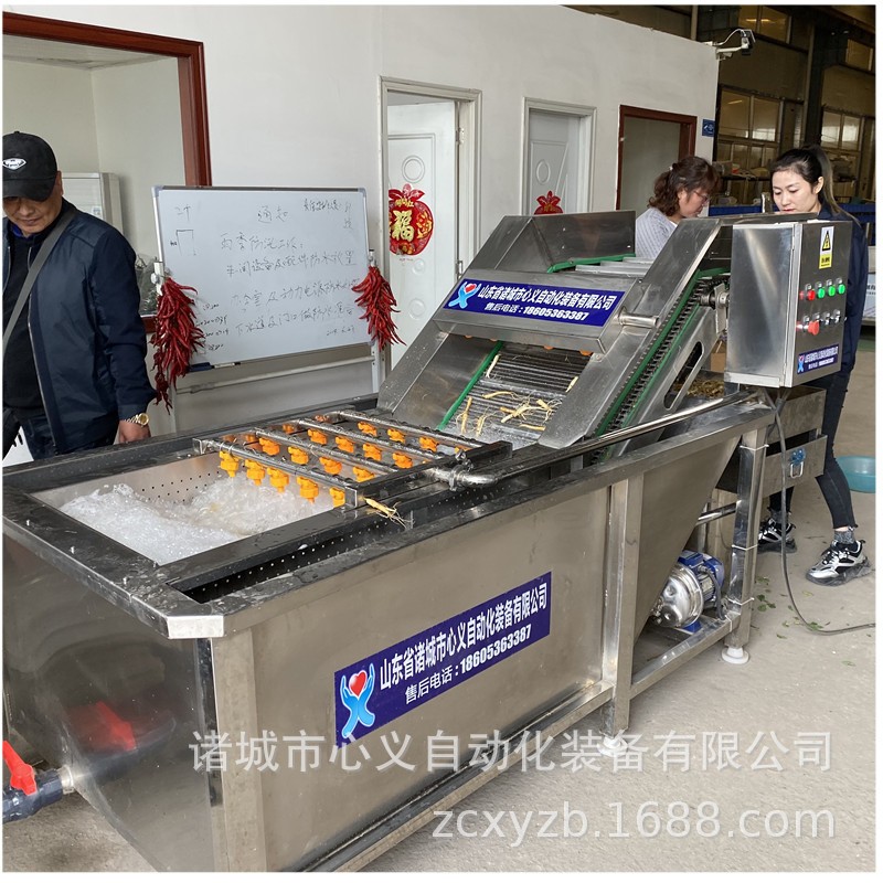 馬青菜清洗加工流水線 小油菜凈菜加工整線工程線 小白菜加工設(shè)備