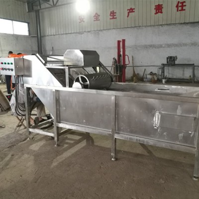 廠家供應(yīng)果蔬氣泡清洗機(jī) 高壓氣泡清洗機(jī) 全自動(dòng)蔬菜清洗機(jī)