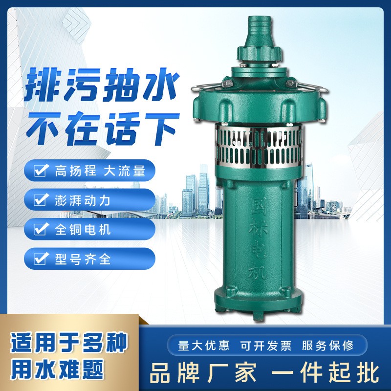 人民QY潛水電泵 三相充油式園林排灌大流量油浸泵高揚程農(nóng)用泵