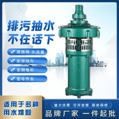人民QY潛水電泵 三相充油式園林排灌大流量油浸泵高揚程農用泵