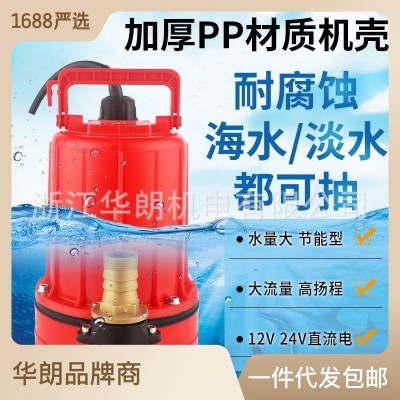 春耕抽水用什么戶外直流水泵幫你解決