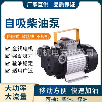 廠家批發220V電動自吸加油泵大功率抽油泵大流量抽油機柴油泵煤油
