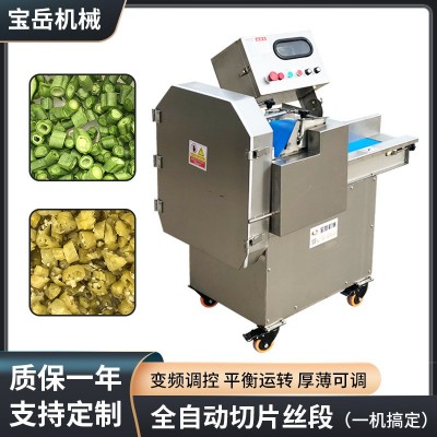 根莖類蔬菜類切片切絲機柜式商用切絲機大功率大口徑帶面板切丁機