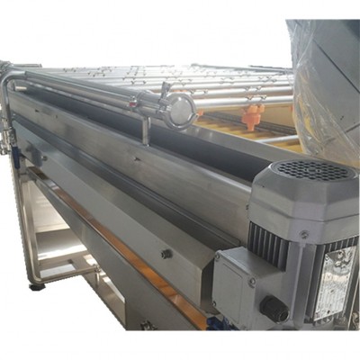 （熱銷單品）廠家供應蘋果杏子平板毛刷噴淋清洗機