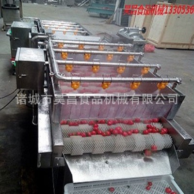 果蔬清洗機(jī) 熱賣高壓噴淋式氣泡沖浪 昊昌多功能商用旋流蔬菜清洗