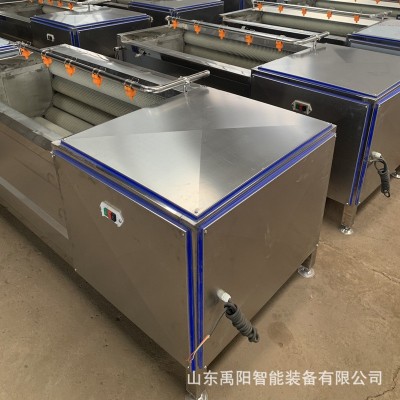 山藥毛輥去皮清洗機 蓮藕全自動毛輥去皮祛泥清洗機 廠家現(xiàn)貨供應(yīng)