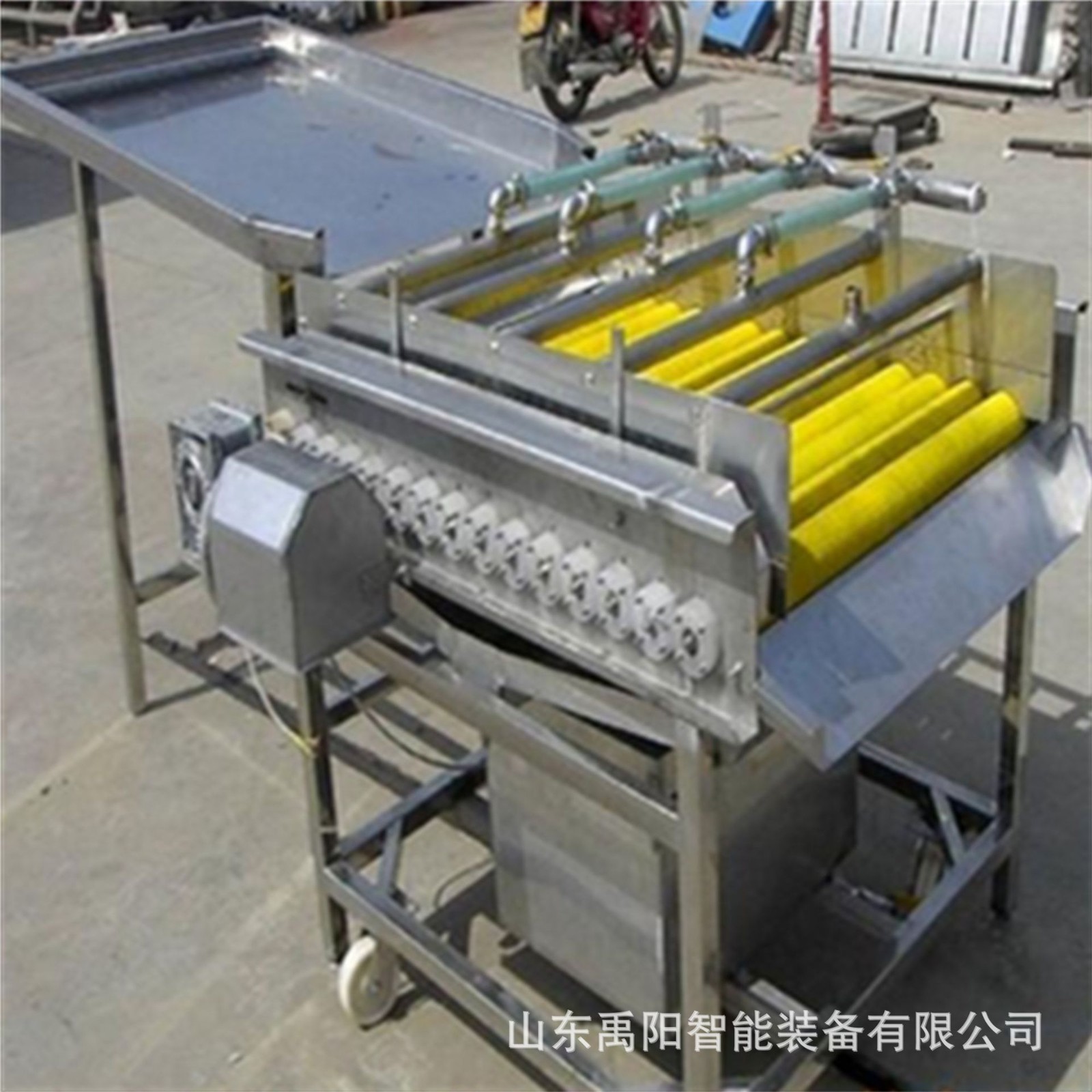 現貨土豆去皮毛輥清洗機 豬蹄羊蹄清洗機 芋頭中藥材毛輥清洗機