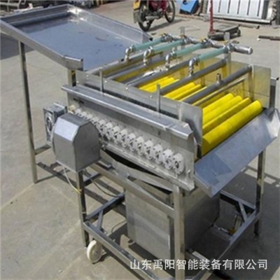 現(xiàn)貨土豆去皮毛輥清洗機 豬蹄羊蹄清洗機 芋頭中藥材毛輥清洗機