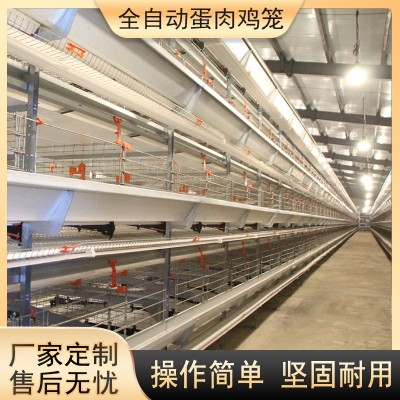 大層疊蛋雞籠養雞設備加密加粗全自動化養殖籠具熱鍍鋅蛋雞籠