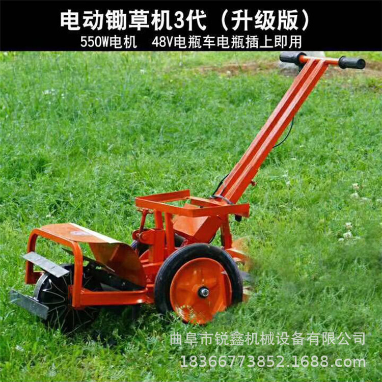 11661571258_288799623