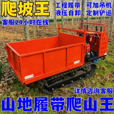 履帶運輸車爬山虎工程農用山地小型全地形爬坡王自卸四不像拖拉機