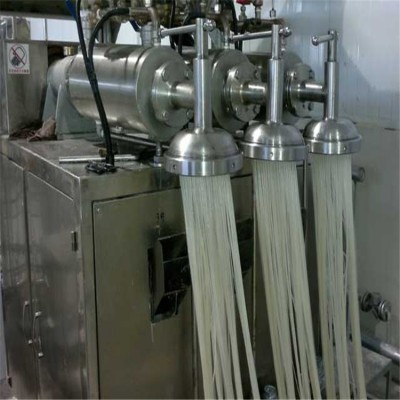 電汽兩用紅薯粉條粉絲機(jī) 干蘭片擠出機(jī) 一次成型紅薯粉絲粉條機(jī)