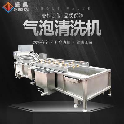 中藥材氣泡清洗機(jī)凈菜加工設(shè)備水果蔬菜辣椒清洗 萬能氣泡 清洗機(jī)