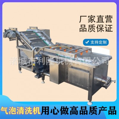 全自動(dòng)果蔬食材清洗機(jī) 大姜清洗泥沙機(jī) 小白菜油菜氣泡清洗機(jī)