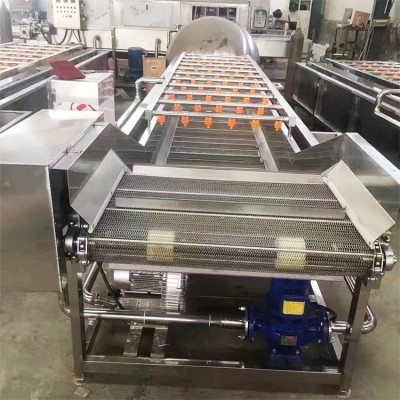 大型蔬菜清洗機(jī) 多功能全自動(dòng)果蔬噴淋式洗菜機(jī)