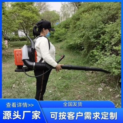廠家生產(chǎn)批發(fā)大功率背負(fù)道路吹風(fēng)機 風(fēng)力滅火機森林滅火機吹雪機