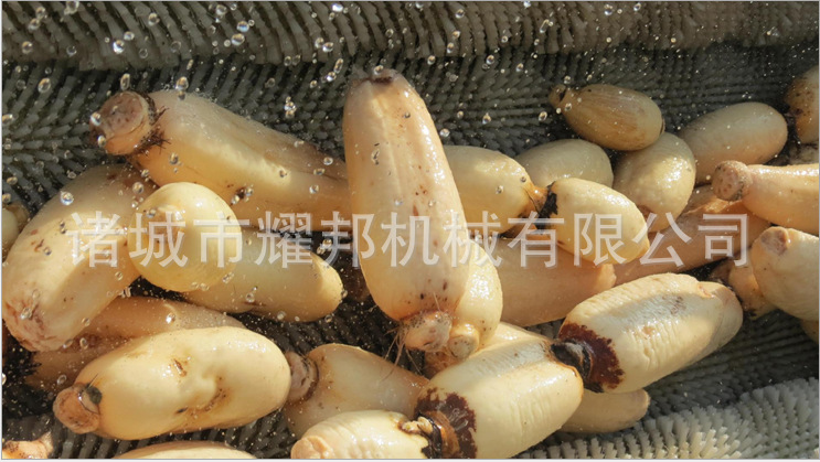 QQ圖片20151005105714