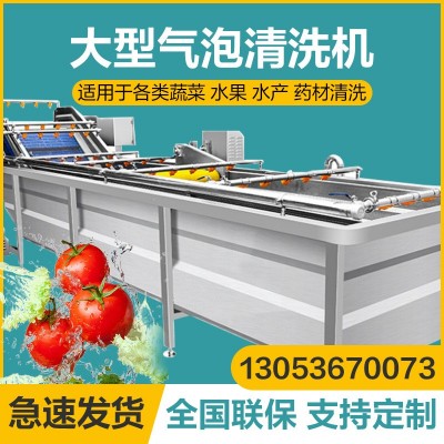 果蔬清洗機商用全自動高壓噴淋超聲波水果辣椒大棗氣泡清洗線