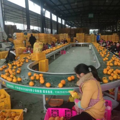 環(huán)形輸送機(jī) 流水線傳送帶分揀線 水果包裝挑選輸送帶 廠家供應(yīng)