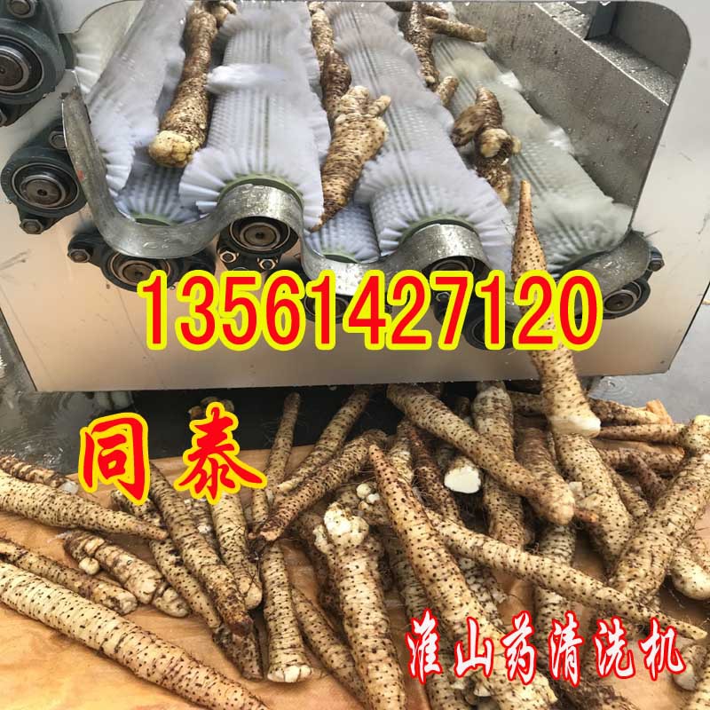 淮山藥清洗機1
