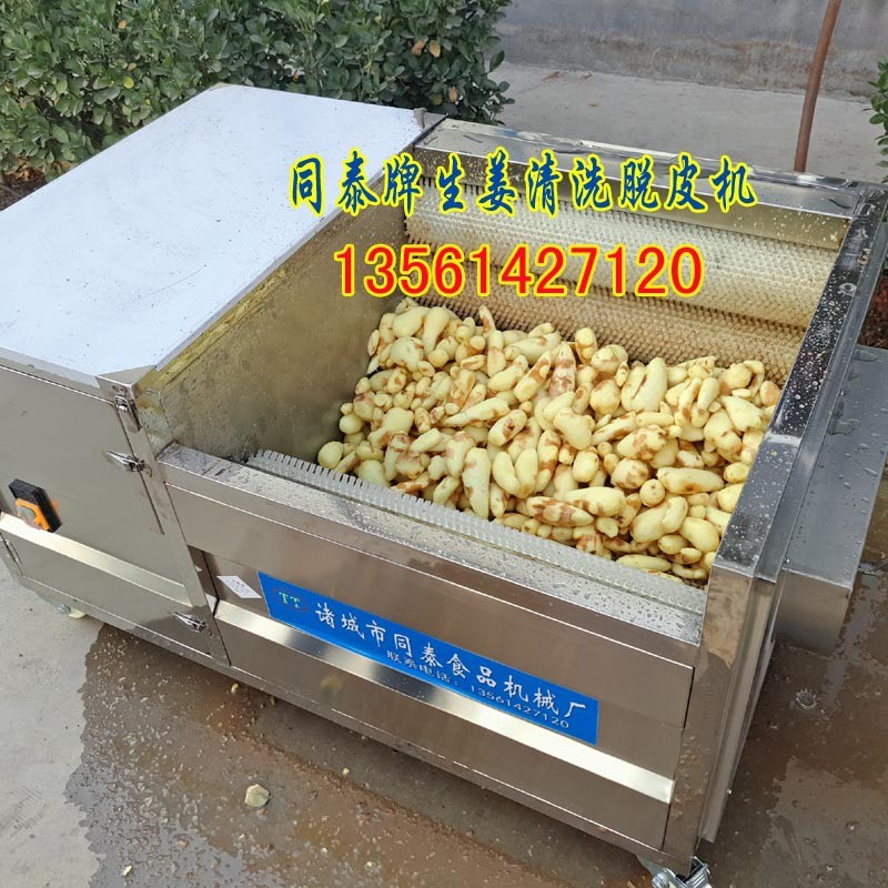 毛刷輥老姜去皮機 生姜清洗脫皮機 洗姜機 果蔬清洗去皮毛刷機