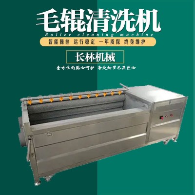 海產品清洗機 不銹鋼毛刷清洗機 平行毛輥清洗機