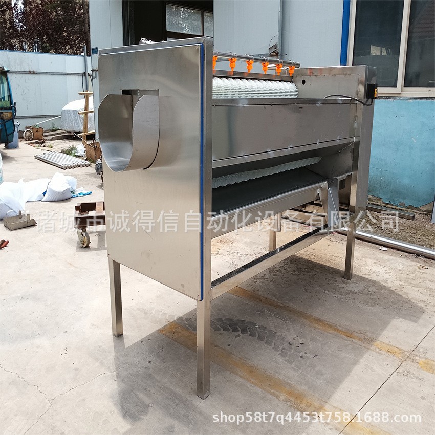 全自動毛輥脫皮清洗機 土豆蘿卜蓮藕脫皮清洗設備