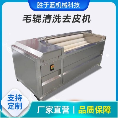 全自動海蠣子扇貝清洗機(jī) 大蔥去皮清洗設(shè)備 獼猴桃毛輥清洗機(jī)