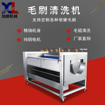 旭朗全自動毛刷清洗機大型臍橙土豆水果蔬菜毛輥果蔬清洗機廠家