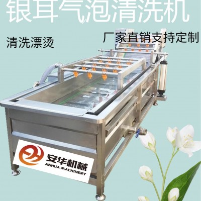 全自動果蔬氣泡清洗機藍莓圣女果銀耳毛豆清洗機臭氧果蔬消毒設備