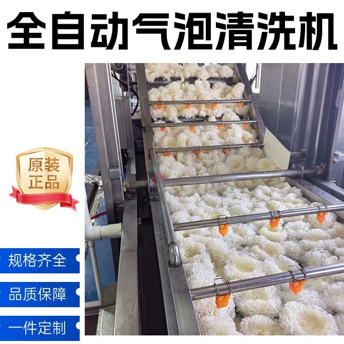 天麻藥材氣泡清洗機(jī) 果蔬清洗加工流水線 大棗橘子蘿卜芹菜洗菜機(jī)