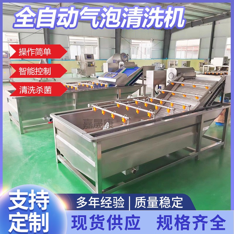 全自動(dòng)氣泡清洗機(jī)葉類蔬菜清洗機(jī)氣泡翻滾清洗機(jī)不銹鋼果蔬清洗機(jī)