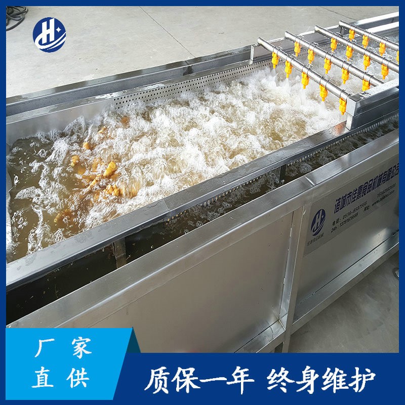 大型自動(dòng)化洗姜機(jī)器 平行式高壓噴淋清洗機(jī) 鮮姜姜芽生姜清洗設(shè)備