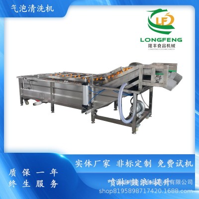 全自動(dòng)果蔬清洗機(jī) 黃桃水蜜桃清洗風(fēng)干機(jī) 藍(lán)莓大棗清洗風(fēng)干流水線